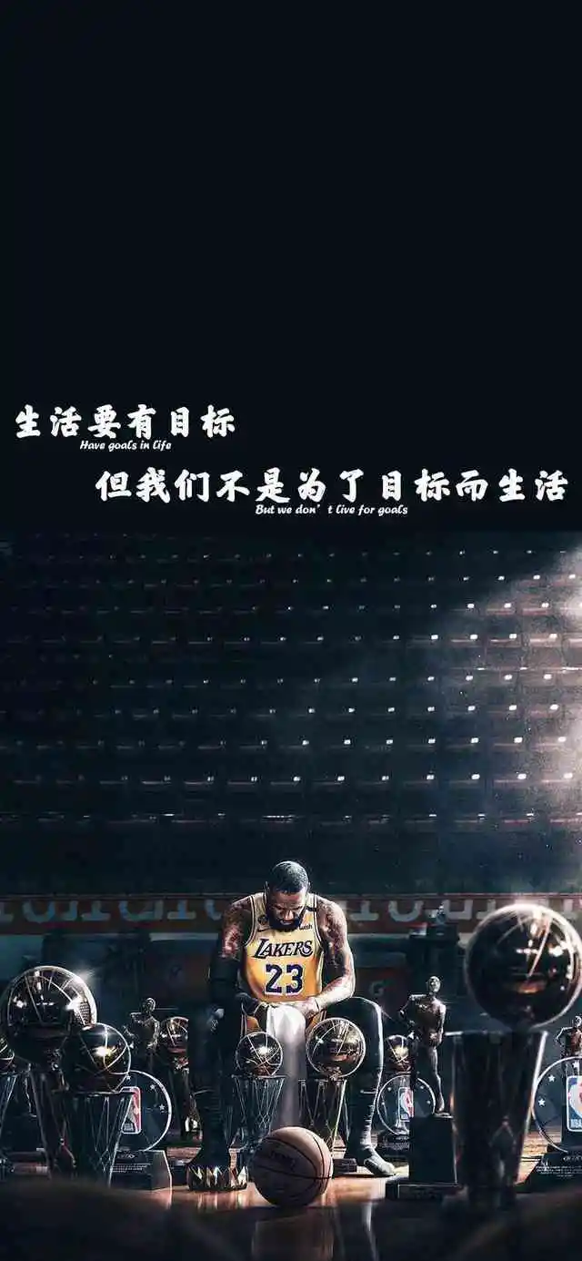 如何选择适合篮球康复训练的器材_2