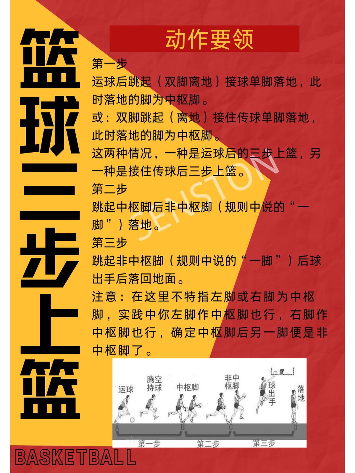新手篮球每天训练教程视频讲解